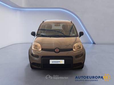 Fiat Panda 1.2 Fire 69cv S&S EasyPower City Life Grigio usata MONOPOLI