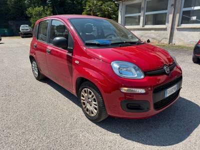 Fiat Panda ADATTA A NEOPATNTATO GARANTITA E CE usata Omegna