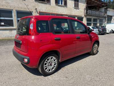 Fiat Panda ADATTA A NEOPATNTATO GARANTITA E CE usata Omegna