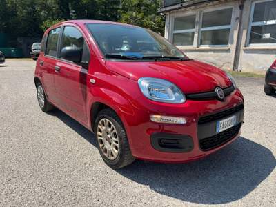 Fiat Panda ADATTA A NEOPATNTATO GARANTITA E CE usata Omegna