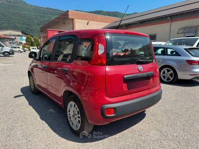 Fiat Panda ADATTA A NEOPATNTATO GARANTITA E CE usata Omegna