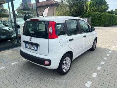 Fiat Panda 1.3 mjt 16v Easy s&amp;s 95cv Bianco usata Pinerolo