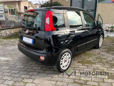 Fiat Panda 1.2 Lounge 69cv GPL Nero usata San Giorgio del Sannio