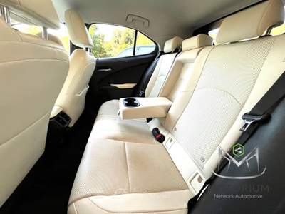 Lexus UX 250h 2.0 Executive 4wd cvt my20 Verde usata Roma