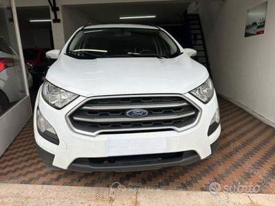 Ford EcoSport TDCi 100 CV Start&Stop Plus usata Arezzo