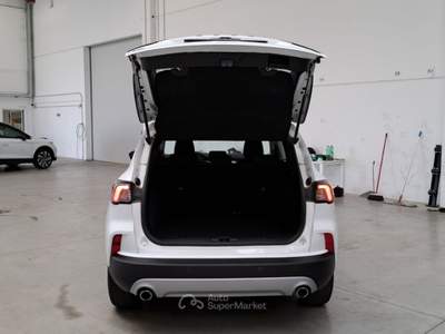 Ford Kuga FORD KUGA 2.0 ECOBLUE 150 CV AWD TITANIUM BUSINESS AUTO SUV usata Casei Gerola
