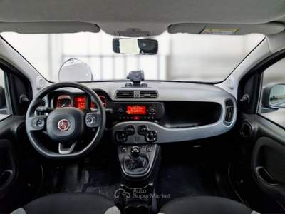 Fiat Panda FIAT PANDA 1.0 70 CV SES HYBRID CITY LIFE 5 PORTE BERLINA usata Casei Gerola