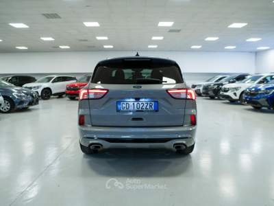 Ford Kuga 1.5 EcoBlue ST-Line 2wd 120cv auto Grigio usata Torino