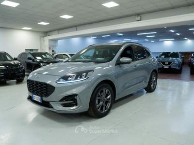 Ford Kuga 1.5 EcoBlue ST-Line 2wd 120cv auto Grigio usata Torino