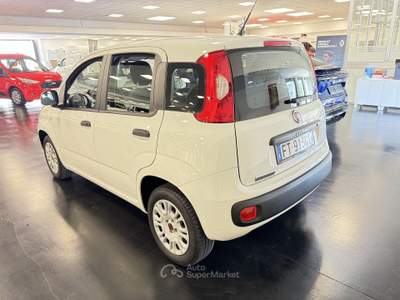 Fiat Panda AUTOCARRO N1 !!! PANDA 1.2 Easy s&s 69cv my19 Bianco usata Torino