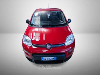 Fiat Panda III 2024 1.0 firefly hybrid s&s 70cv usata Torino