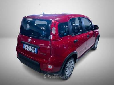 Fiat Panda III 2024 1.0 firefly hybrid s&s 70cv usata Torino
