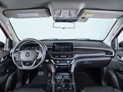 Foton Tunland G7 IDEALE PER FUORISTRADA Grigio usata Montelabbate