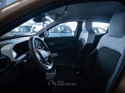 Dacia Spring Expression Electric 65 Beige usata Torino