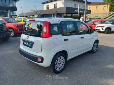 Fiat Panda 1.2 69cv E6 Easy Bianco usata Lucca