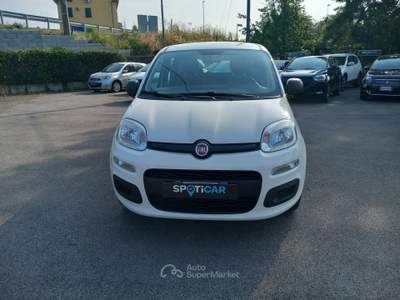 Fiat Panda 1.2 69cv E6 Easy Bianco usata Lucca