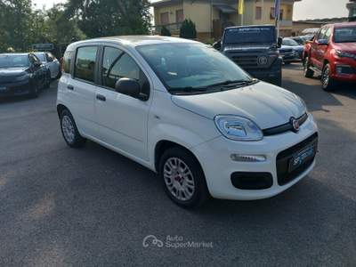 Fiat Panda 1.2 69cv E6 Easy Bianco usata Lucca