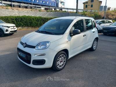 Fiat Panda 1.2 69cv E6 Easy Bianco usata Lucca