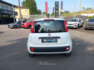 Fiat Panda 1.2 69cv E6 Easy Bianco usata Lucca