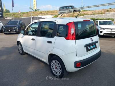 Fiat Panda 1.2 69cv E6 Easy Bianco usata Lucca