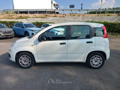 Fiat Panda 1.2 69cv E6 Easy Bianco usata Lucca