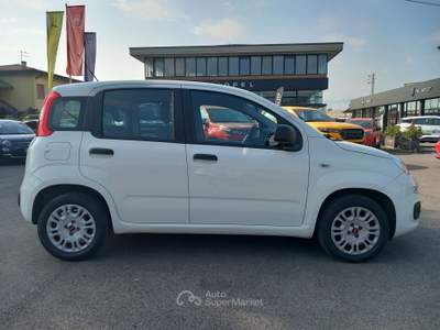 Fiat Panda 1.2 69cv E6 Easy Bianco usata Lucca