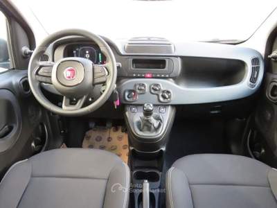 Fiat Panda Panda 1.0 FireFly S&S Hybrid Blu/Azzurro usata Cavaria con Premezzo