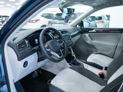 Volkswagen Tiguan 1.4 TSi EH Elegance DSG 150CV Blu/Azzurro usata Torino