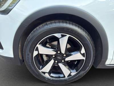 Ford Focus EcoBlue 115 CV automatico 5p. Active Style Bianco usata Bologna