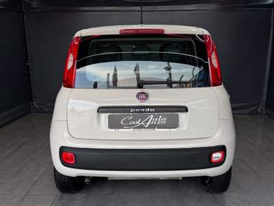 Fiat Panda 0.9 Benzina/ Metano Lounge 2016 Beige usata Teverola