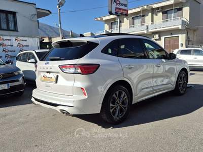 Ford Kuga EcoBlue 120 CV aut. 2WD ST-Line X Bianco usata Sant'Egidio del Monte Albino