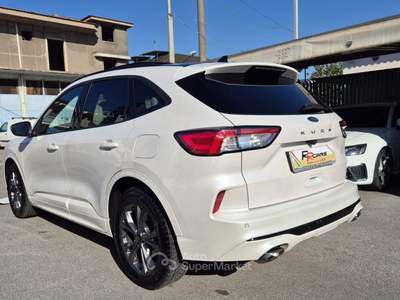 Ford Kuga EcoBlue 120 CV aut. 2WD ST-Line X Bianco usata Sant'Egidio del Monte Albino