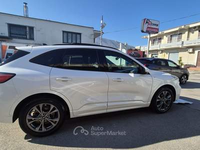Ford Kuga EcoBlue 120 CV aut. 2WD ST-Line X Bianco usata Sant'Egidio del Monte Albino
