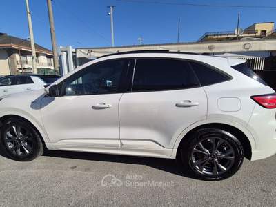 Ford Kuga EcoBlue 120 CV aut. 2WD ST-Line X Bianco usata Sant'Egidio del Monte Albino