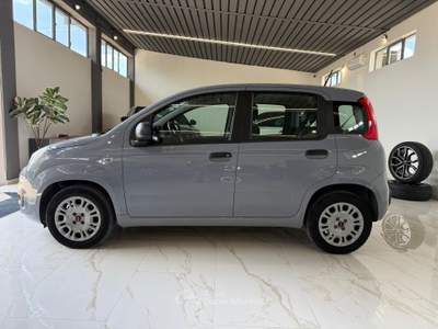 Fiat Panda Easy Grigio usata Latina