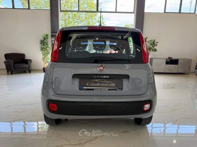 Fiat Panda Easy Grigio usata Latina
