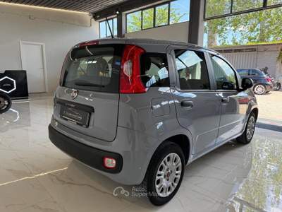 Fiat Panda Easy Grigio usata Latina