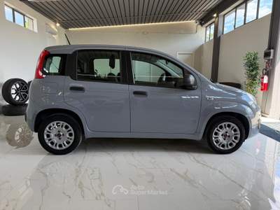 Fiat Panda Easy Grigio usata Latina