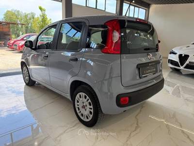 Fiat Panda Easy Grigio usata Latina