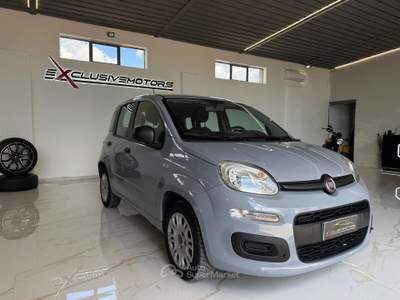 Fiat Panda Easy Grigio usata Latina
