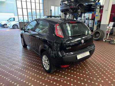 Fiat Punto Evo Punto Evo 1.4 5 porte Emotion Natural Power Nero usata Cinisello Balsamo