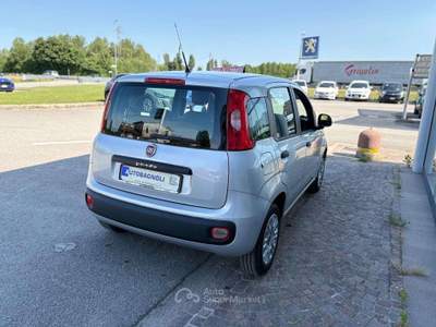 Fiat Panda EASY 1.2 69 CV MOTORE NUOVO Argento usata Bagnaria Arsa