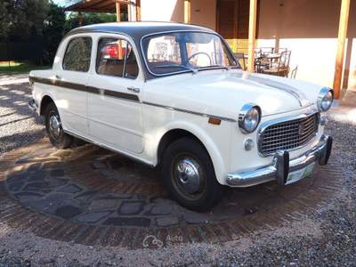 Fiat Panda H LUSSO 1959 CON CRS Beige usata Magione