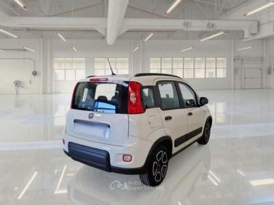 Fiat Panda 1.0 hybrid City Life s&s 70cv 5p.ti Bianco usata Parma