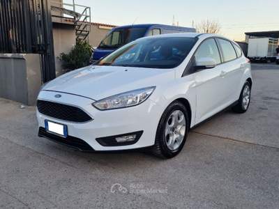 Ford Focus 1.5 TDCi 95 CV Start&Stop Plus Bianco usata Frattaminore