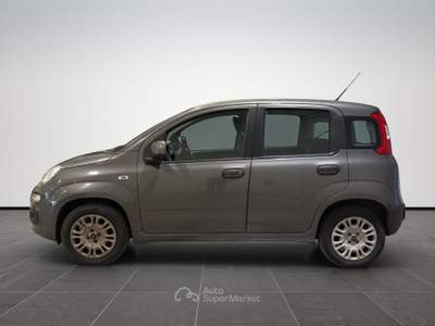 Fiat Panda  1.2 easy s&s 69cv my19 Grigio usata Firenze