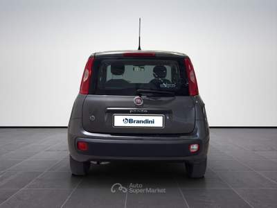 Fiat Panda  1.2 easy s&s 69cv my19 Grigio usata Firenze
