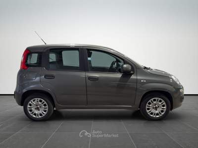 Fiat Panda  1.2 easy s&s 69cv my19 Grigio usata Firenze