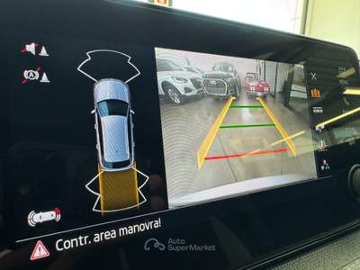 Skoda Kamiq 1.0 tsi Black Dots 115cv dsg Argento usata Pollenza