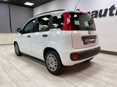 Fiat Panda 1.3 MJT 16V LOUNGE Bianco usata Mazzano